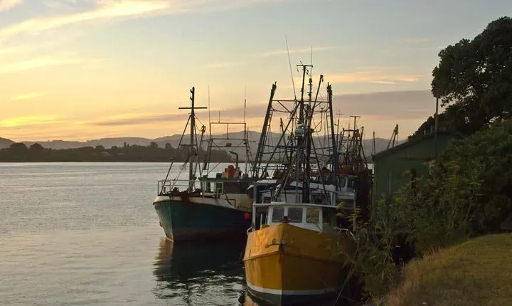 Explore Tauranga: Self-Guided Audio Tour