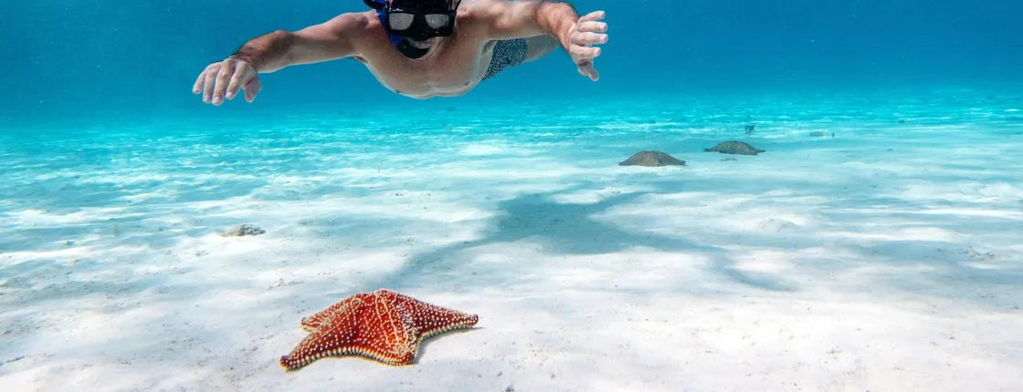 Cozumel sea safari with El Cielo snorkelling
