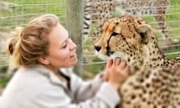 Shared: Cape Winelands, Cheetah Outreach & Kisternbosch Botanical Gardens Tour,