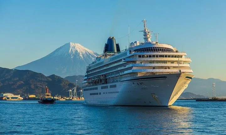 Private sightseeing tour from Shimizu Port / Van Taxi