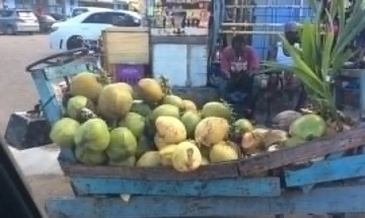 Negril Country Side Tour & Rick's Cafe