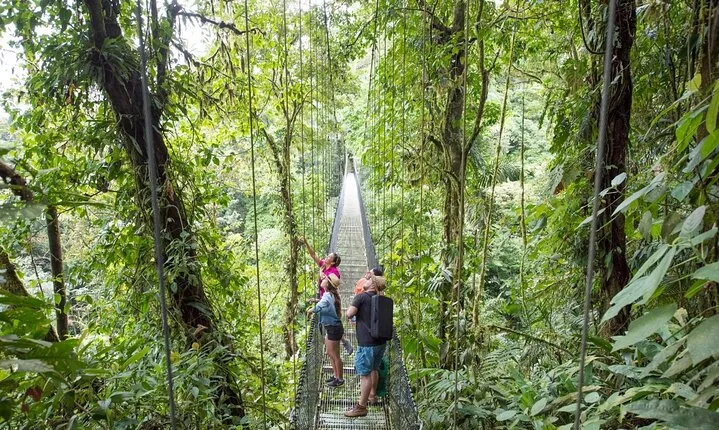 Mistico Natural History Walk(Hanging Bridges)