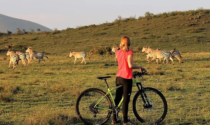 1 day Walking and Bike Safari in Arusha National Park