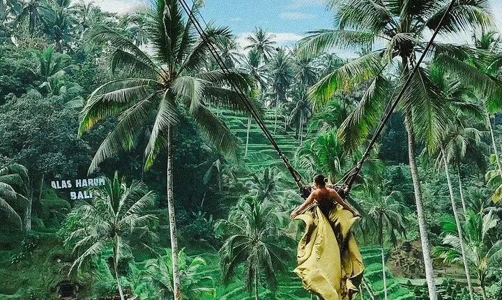 Bali Swing, Monkey Forest and Waterfall Tour