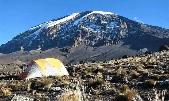 9 Days Kilimanjaro Hiking | Climbing via Northern Circuit route