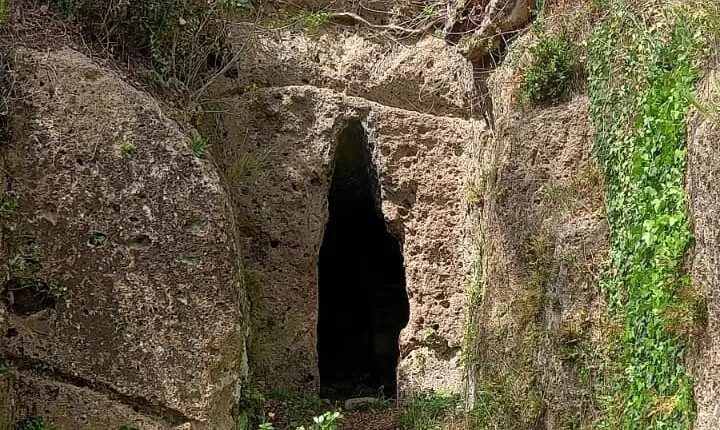 Poggio Buco: the disappeared necropolises