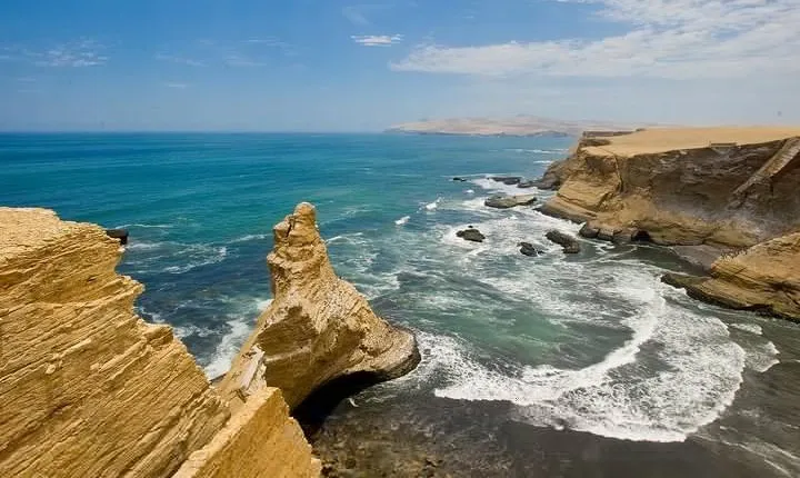 Paracas National Reserve Private Tour from Paracas or Pisco