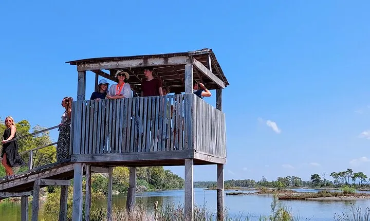 Karavasta Lagoon Adventure: Boat & Wildlife Tour from Durrës