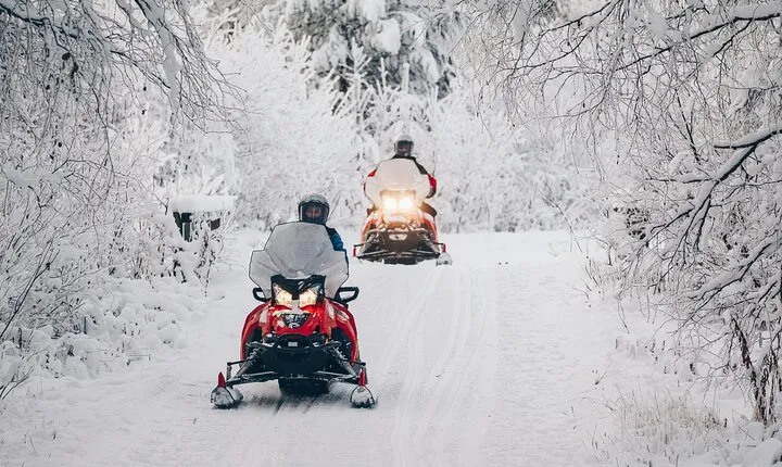 Adventurer's Snowmobile Tour 4h