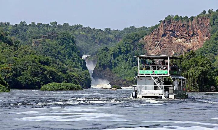 12-Day Uganda Gorillas, Chimps and Wildlife Safari