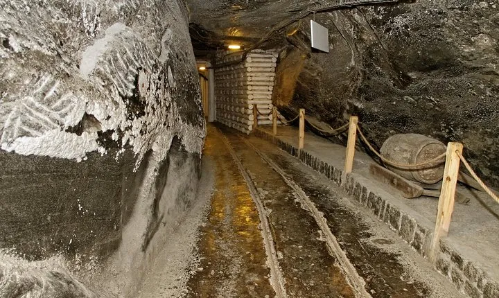 Auschwitz & Wieliczka ONE DAY Guided Tour +Private Transportation