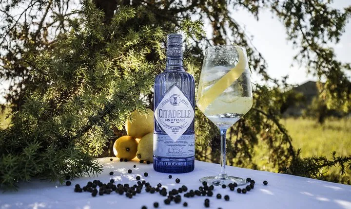Citadelle Gin Distillery Tour in English