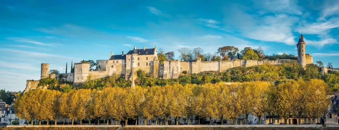 Ticket to the Royal Fortress of Chinon
