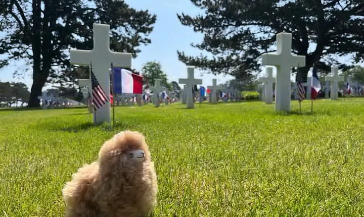 Normandy D-day landing beaches & Caen Memorial Private Tour