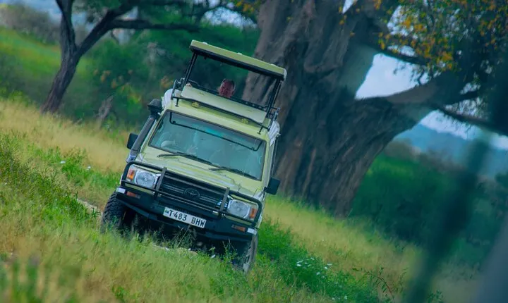 Excursion in Tarangire National Park Day trip