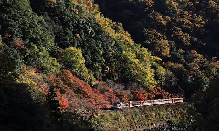Arashiyama Walking Tour with Optional Sagano Romantic Train Ride