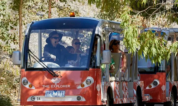 The Explorer - Cranbourne Gardens