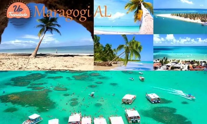 Tour To Maragogi AL