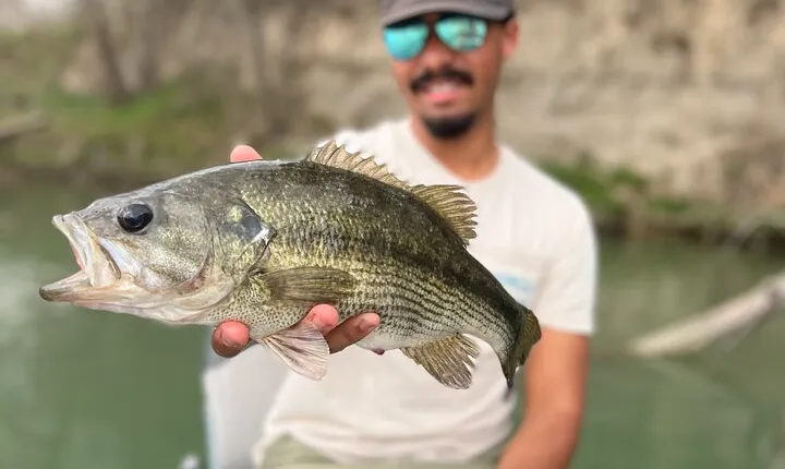 Full Day Guided Fishing Tour in Canyon Lake