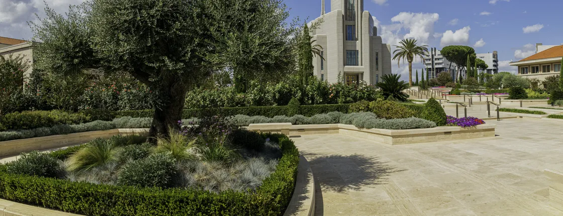 Rome tour by minivan with visit to the Rome LDS Temple