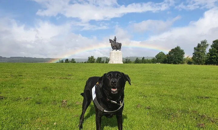 Bannockburn Battlefield Tour (Outdoor Tour operated by Freedom Tour Today)