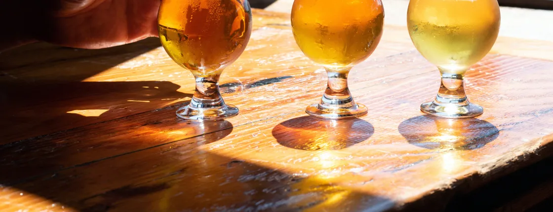 Pub tasting tour through Leuven