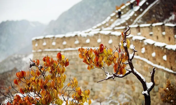 Private Beijing 3-Day Tour from Xi'an with Deluxe Soft Sleeper Train Experience