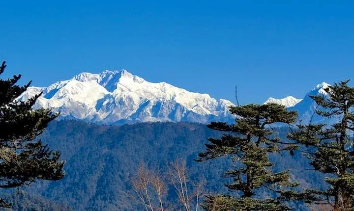 Darjeeling Tonglu Day Trek 