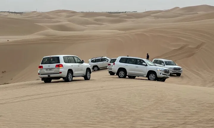 Abu Dhabi Desert Safari With BBQ Dinner & Live Shows
