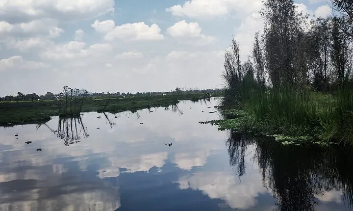 Pre-Hispanic Xochimilco and ajolotario. Private Ecotour.