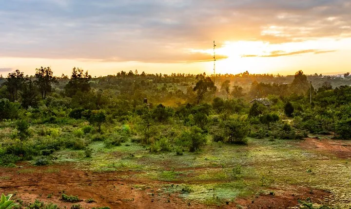 The Best Of Nanyuki Walking Tour