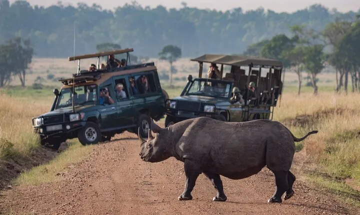 Full Day Private Adventure in Tarangire National Park