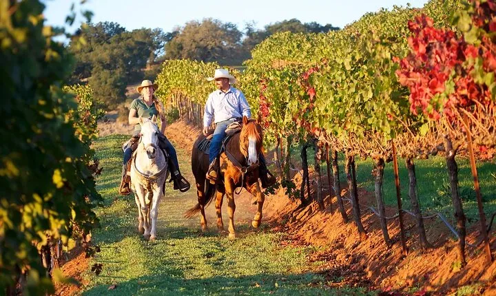 Guided Horseback Tour only 30 mins from Sedona.