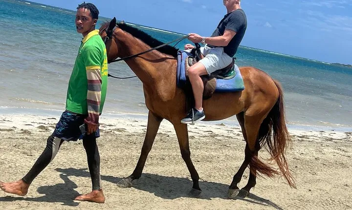 Horse back riding Dunnsriver falls swim from Montego Bay