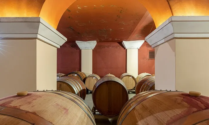 Wine Tasting in Nice Taste of Provence