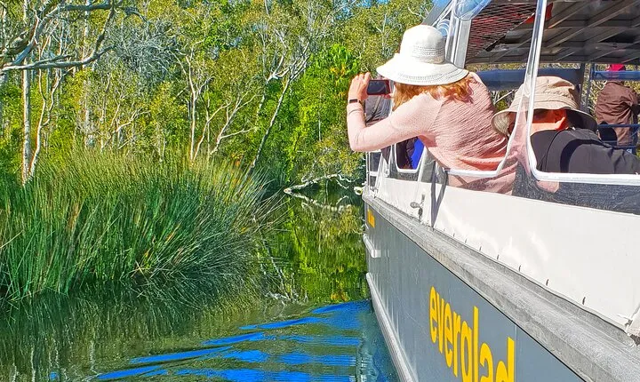 Noosa Everglades Cruise and Highlights Private Tour Inc. Lunch