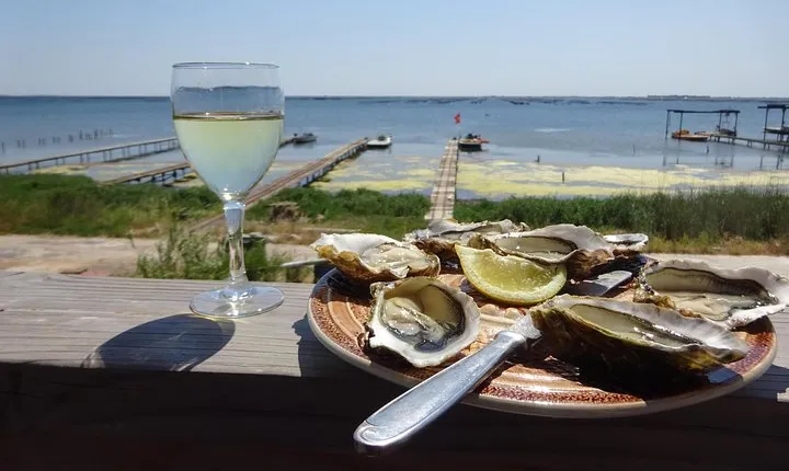 Oysters and seafood of the French Mediterranean Coast