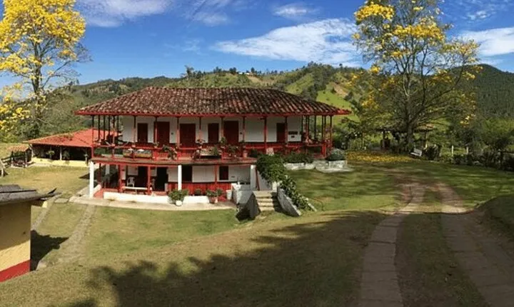 Salento and Cócora Tour plus Coffee Farm from Pereira or Armenia