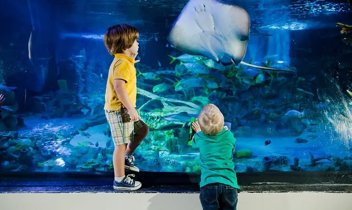 SEA LIFE Aquarium Grapevine Admission Ticket