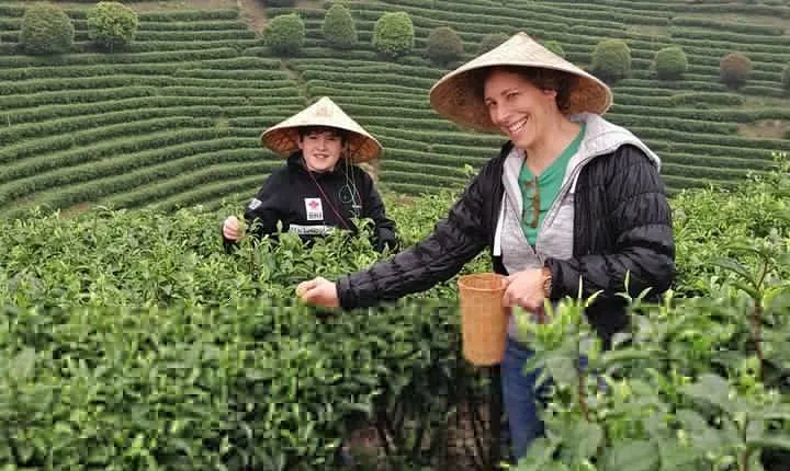 Half-Day Guilin City Tour: Elephant Hill Park and Tea Plantation