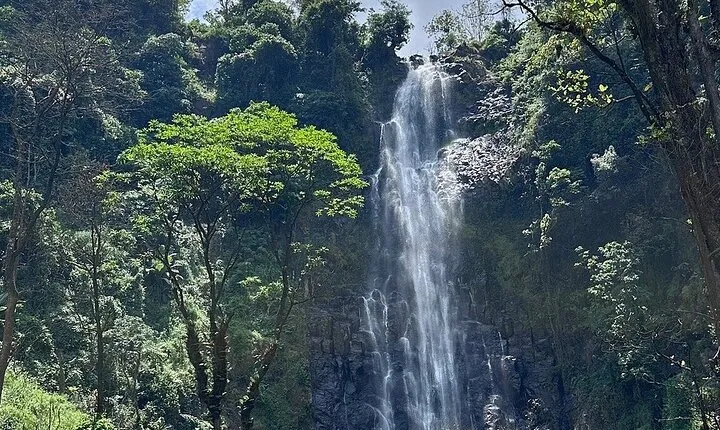 Daytrip Materuni Waterfalls Coffee tour and Kikuletwa Hot Springs