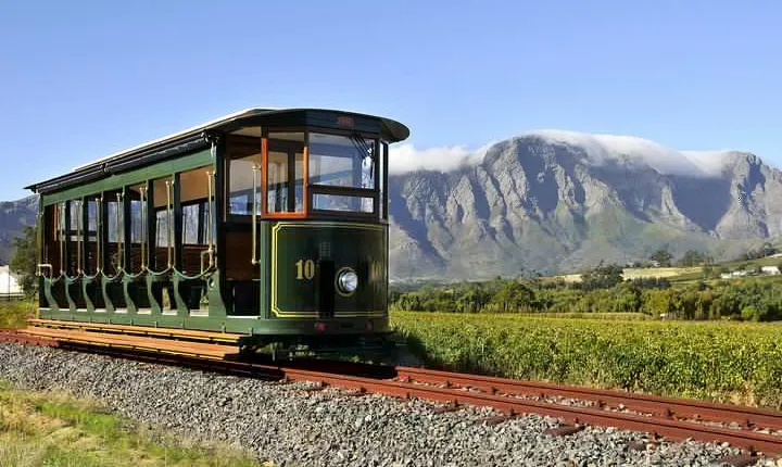 Full-Day Stellenbosch, Franschhoek and Paarl Wine Tasting Tour from Cape Town