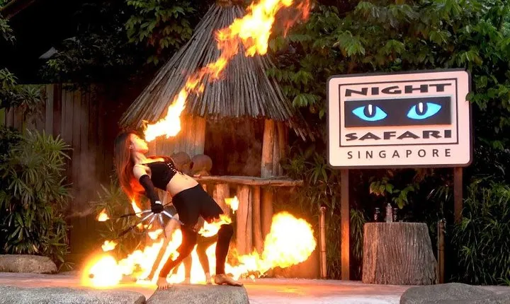 Singapore Zoo & Night Safari Day ( Tickets & Transfer ) 