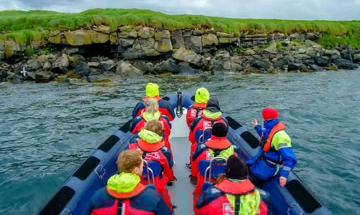 Reykjavik Premium Puffin tour | Close Up and Personal