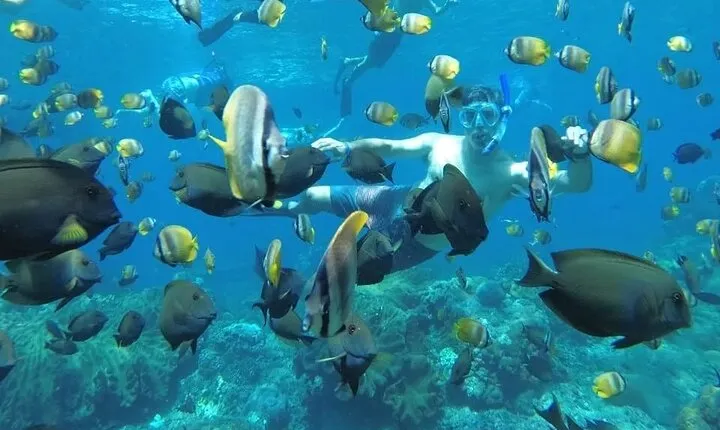 Manta Bay Snorkeling Adventure with Kelingking Beach Nusa Penida All Inclusive