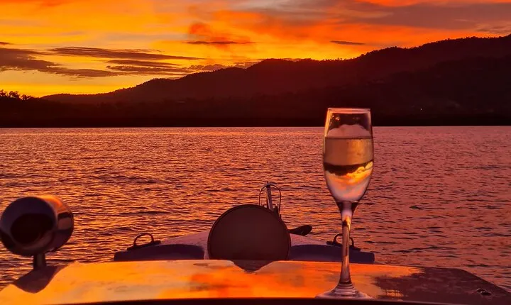 Whisper Cruises Turtle Spotting Sunset Cruise - Electric Boat