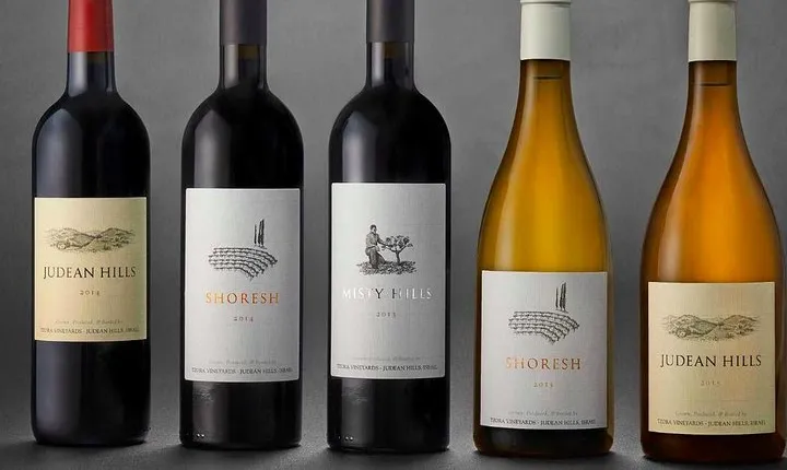 Judean Hills Wine Tasting Tour From Tel Aviv