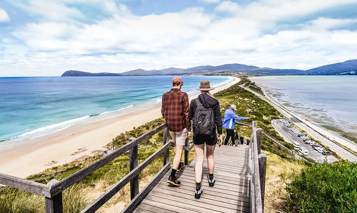 Bruny Island Food, Sightseeing, Guided Lighthouse Tour & Lunch