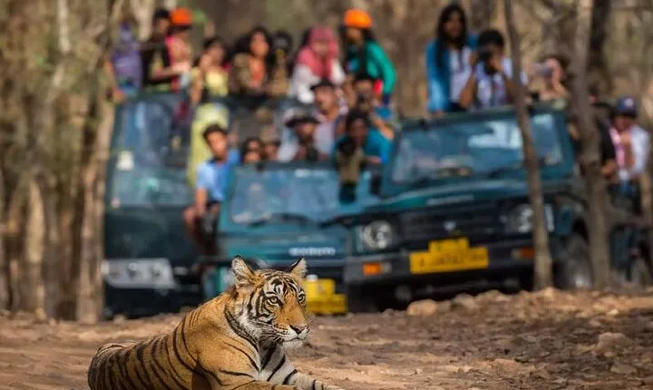 Private Delhi Agra Jaipur Multi Day Tour