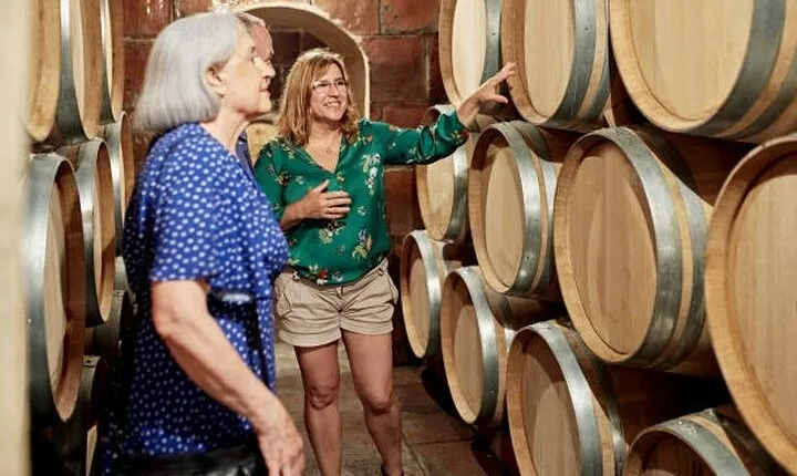 Burgundy wine tour - Private tour with professional tour guide !
